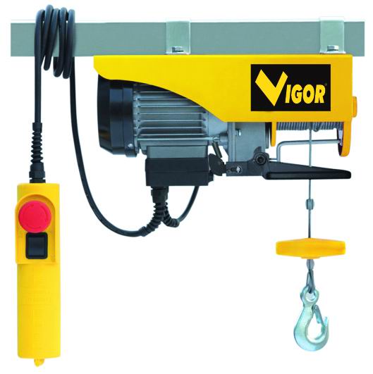 Electric Hoist 500W 125 Kg - Vigor