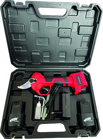 Sandri Gartenschere 16,8 V mit 2 x 2 Ah Akkus, Schnittbreite Ø 25 mm - SG-FP 2500
