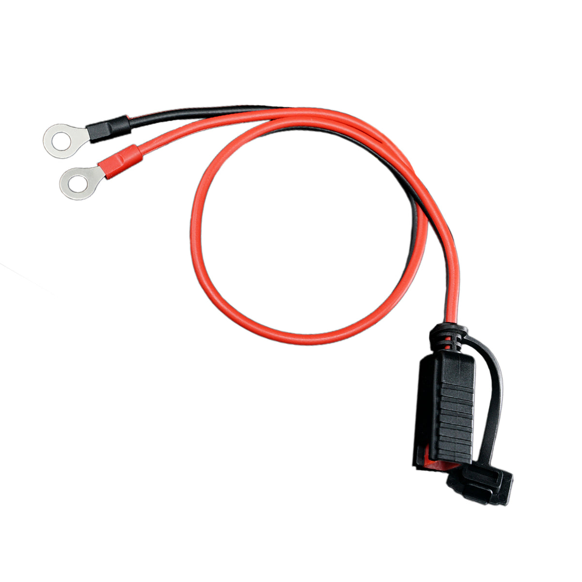 ALCAPOWER - Cavo con Occhielli CABLE2-SX | Per Caricabatterie Serie SX | Occhielli Rame Stagnato Ø6mm | 1,5m | Innesto Rapido