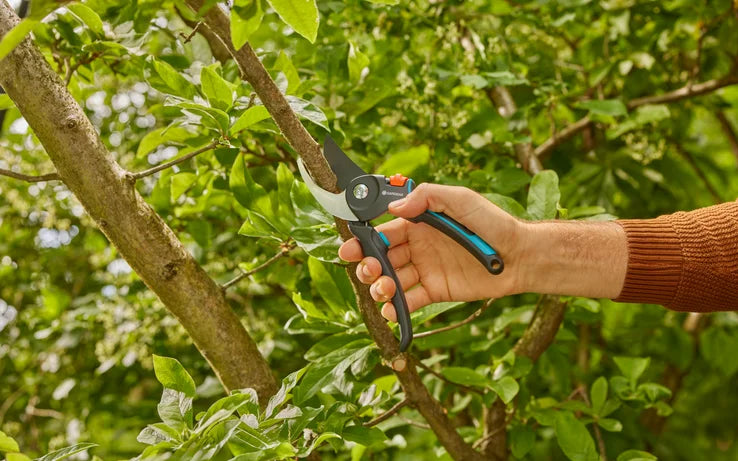 GARDENA - Forbici da Potatura PremiumCut Pro 12251-20 | Bypass Ø 24mm | ErgoTec+ | PowerCoating | Prodotte in Germania | Garanzia 25 Anni