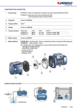 PEDROLLO Elettropompa Autoadescante FUTURE JETm 2A | 1,25 HP | 120 L/min | Autoclave