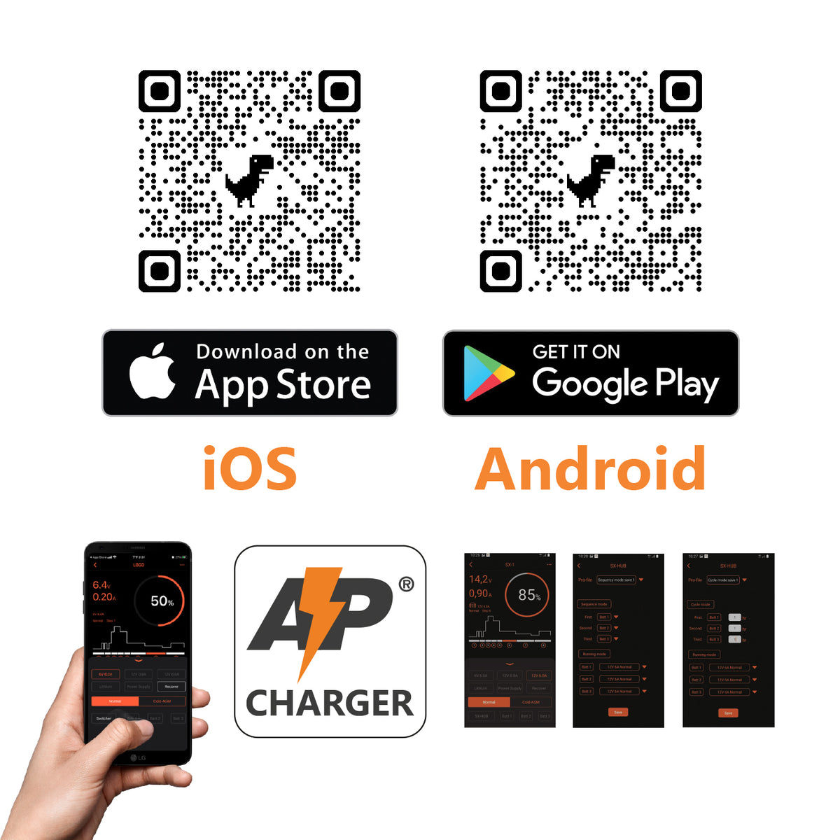 ALCAPOWER - Caricabatterie Automatico SX-2 10A | 12/24V | 4-240Ah | LiFePO4 & Piombo | Switch Auto