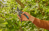 GARDENA - Forbici da Potatura PremiumCut Pro 12251-20 | Bypass Ø 24mm | ErgoTec+ | PowerCoating | Prodotte in Germania | Garanzia 25 Anni