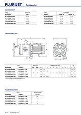 PEDROLLO – Elettropompa Multigirante Autoadescante PLURIJETm 4/80 | 0,75 HP | 80 l/min | Prevalenza 50m | Inox AISI 304
