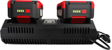 CASTELLARI - Caricabatterie Rapido Doppio RY04B | 220V | 4,0Ah | 2 Batterie Simultanee | RY01B RY02B