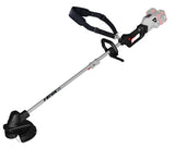 Kit Castellari Decespugliatore RY10G con 2 Batterie da 18V e Caricabatterie Rapido [BUNDLE]