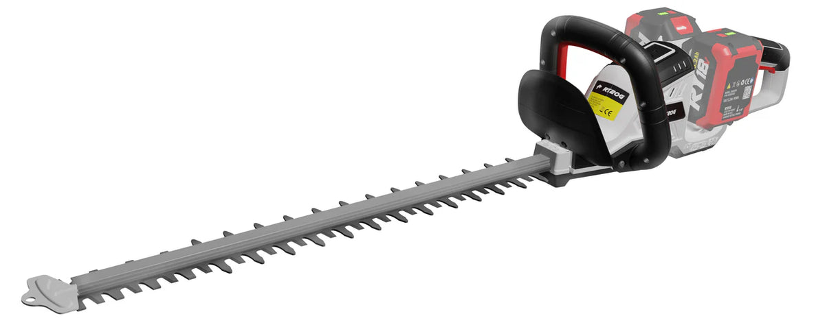 Kit Castellari Tagliasiepi RY20G con 2 Batterie da 18V e Caricabatterie Rapido [BUNDLE]