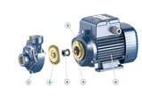 PEDROLLO - Elettropompa Periferica PKm 60 | 0,40 HP | Monofase 230V | Autoclave e Irrigazione