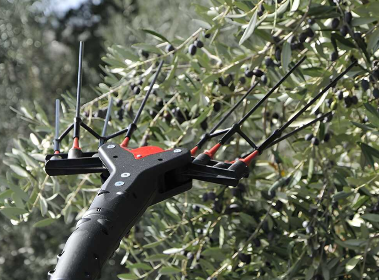 VERTIGO L 18V Electric Olive Harvester Kit with Battery and Charger [BUNDLE]