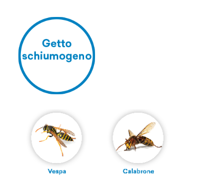 VEBI - Duracid Guêpes et Frelons | Insecticide aérosol 750ml | Jet 4 mètres | Double action choc + résiduelle