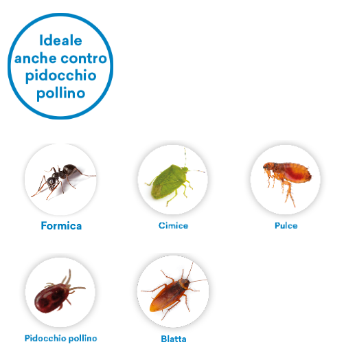VEBI - DURACID Insetticida Piretroide in Polvere | Pronto all'Uso | Formiche Scarafaggi Cimici Zecche | 1 kg