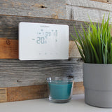 Avidsen Thermostat connecté WI-FI filaire blanc