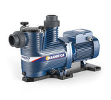 Pedrollo - Poolpumpe MAGNIFICA 1m | 0,55kW | Einphasig | Selbstansaugend | 180 m³