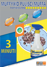 Formreinigungsspray zur Desinfektion und Sanierung 500 ML MUFFYXID FAREN