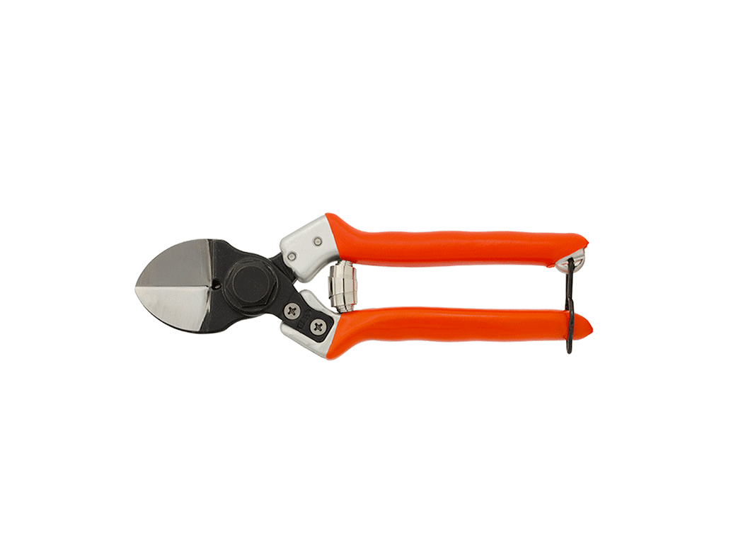 CASTELLARI Forbici Potatura Professionali B12 | Doppia Lama | Acciaio Alto Carbonio | Intercambiabile | Universale